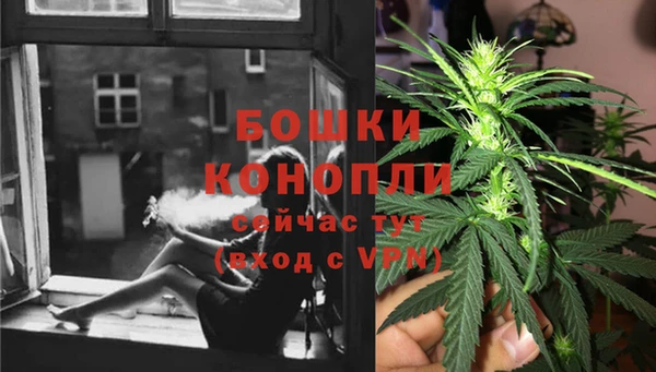 спиды Бронницы