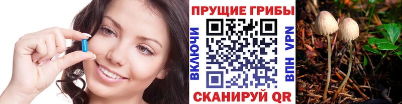 что такое МЕГА сайт Псилоцибиновые грибы прущие грибы Наволоки